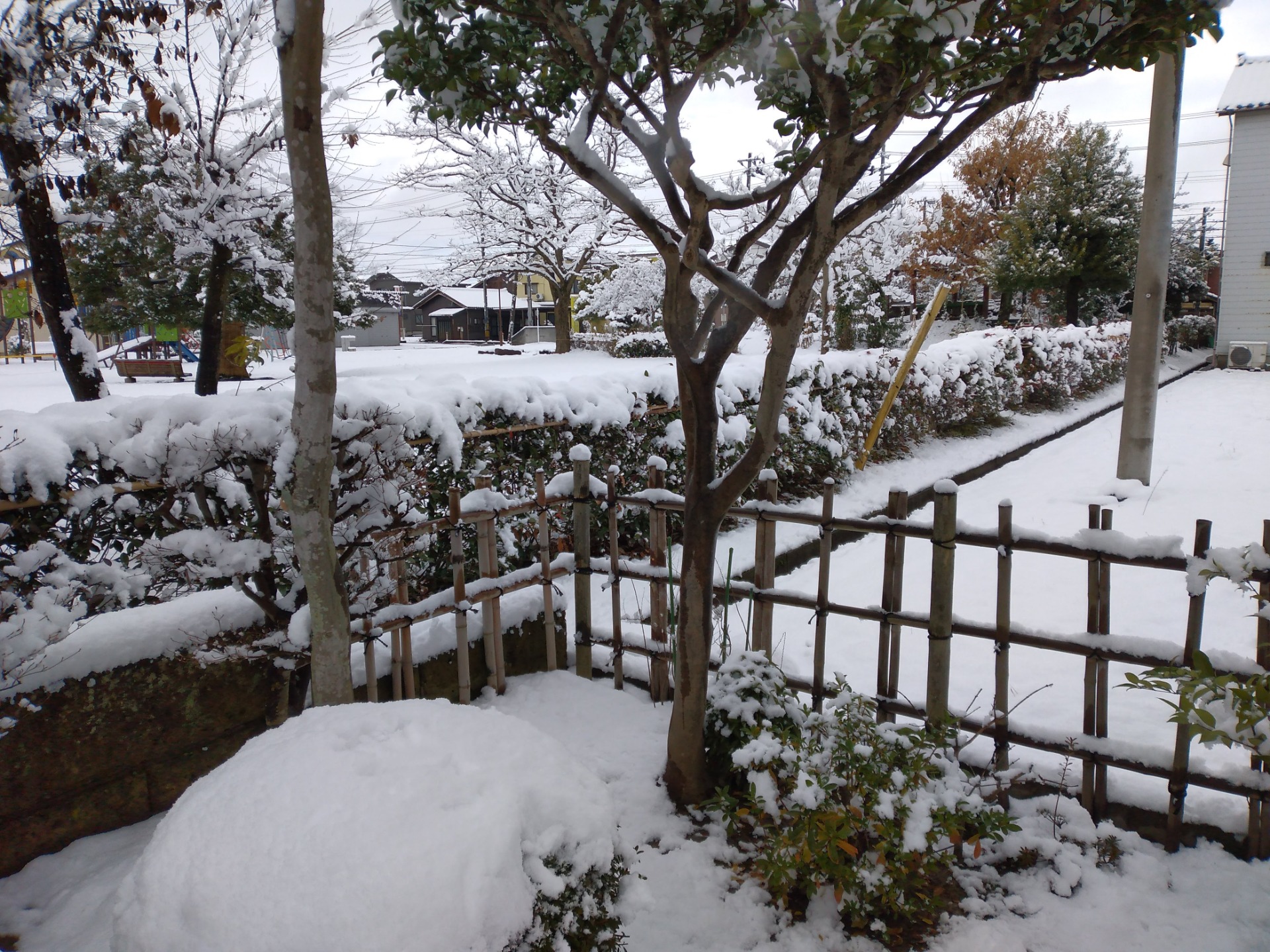 おばあちゃんの家の庭です!❄